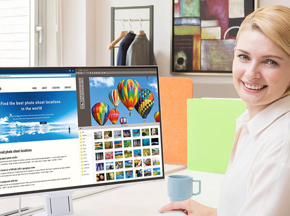 Picture for category FlexScan